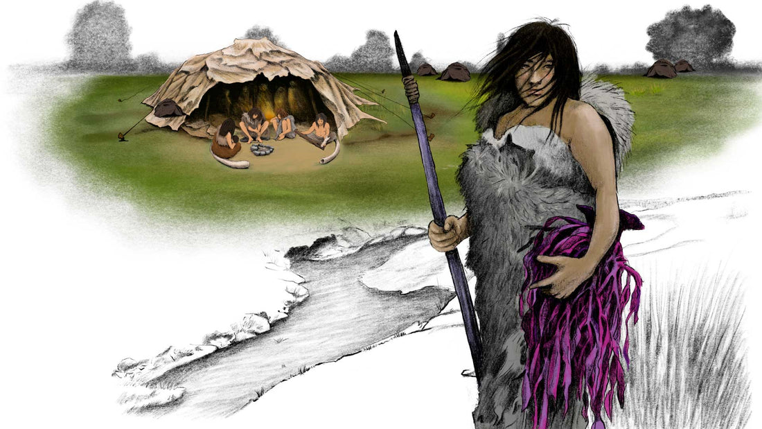 Ilustraciones para Monte Verde