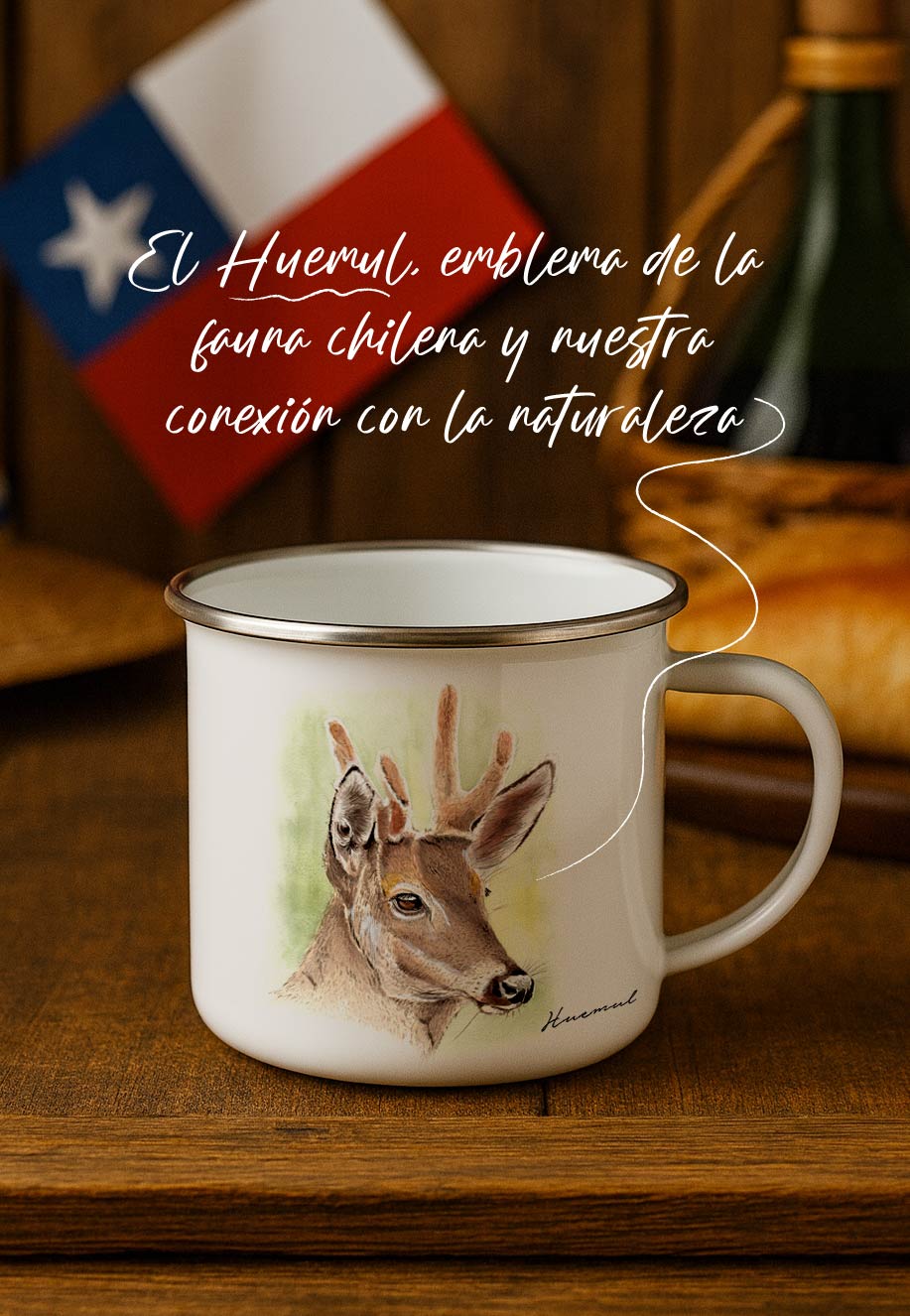 Edición Fiestas Patrias ¡Viva Chile! 🇨🇱 + ENVÍO GRATIS