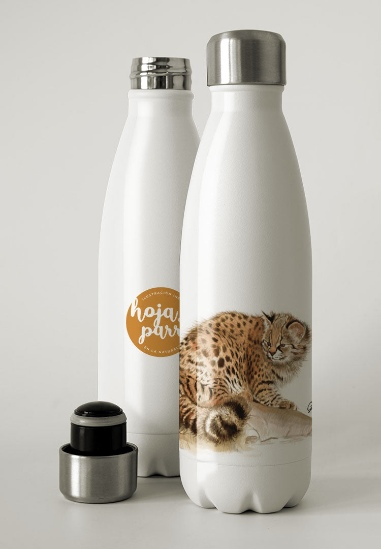 Botella térmica Gato Huiña