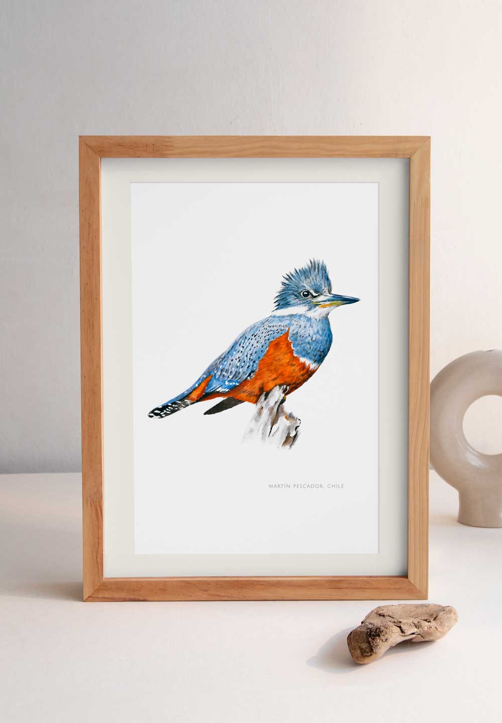 Lámina Martín Pescador