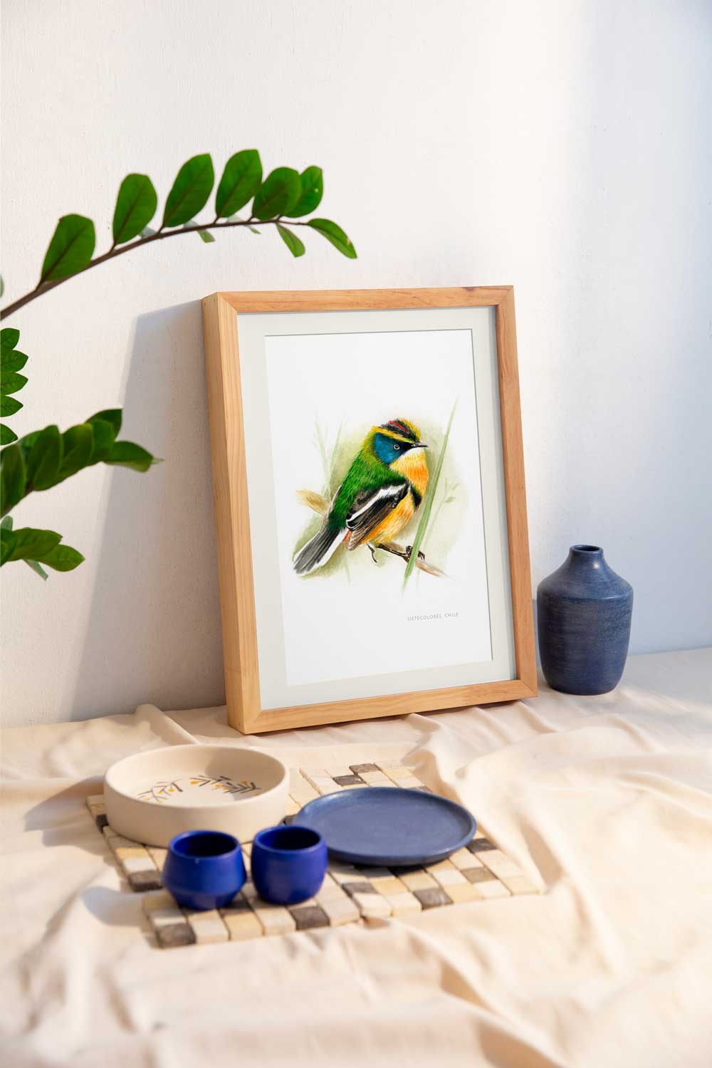 Lámina Sietecolores