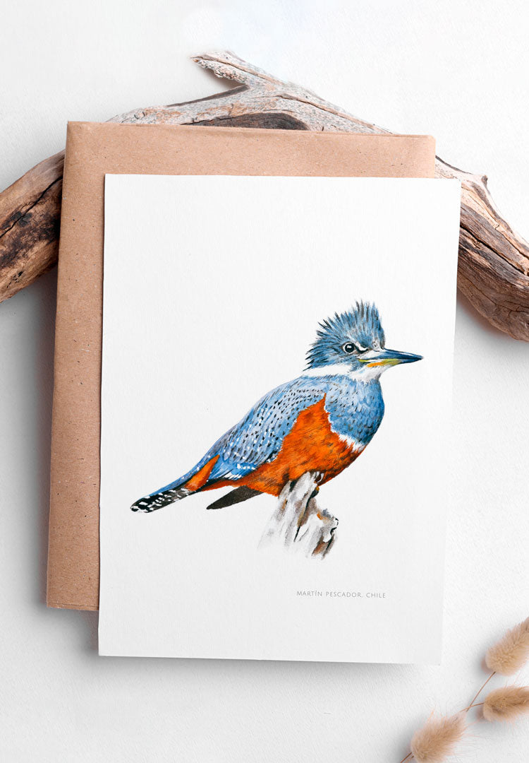 Lámina Martín Pescador