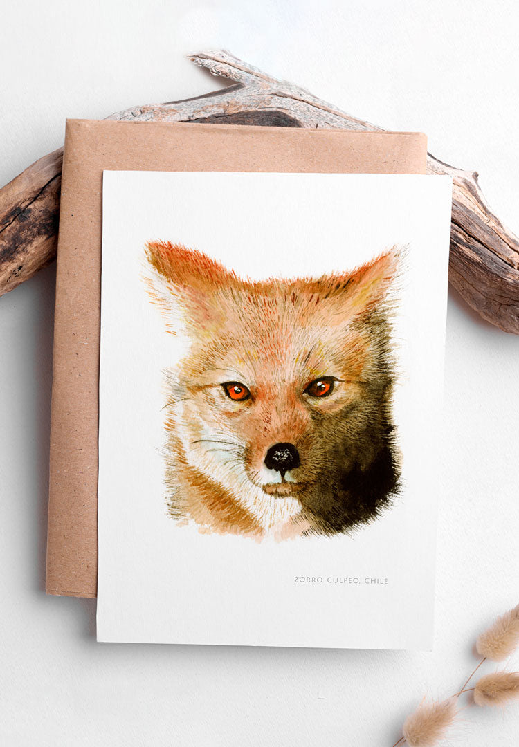 Lámina Zorro culpeo