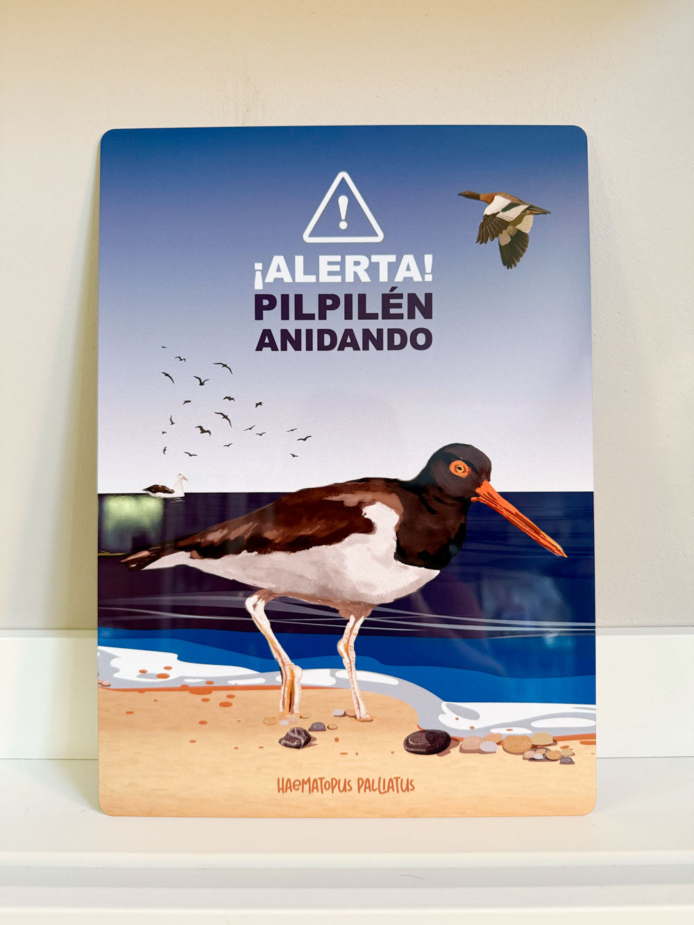 Letrero decorativo Pilpilén