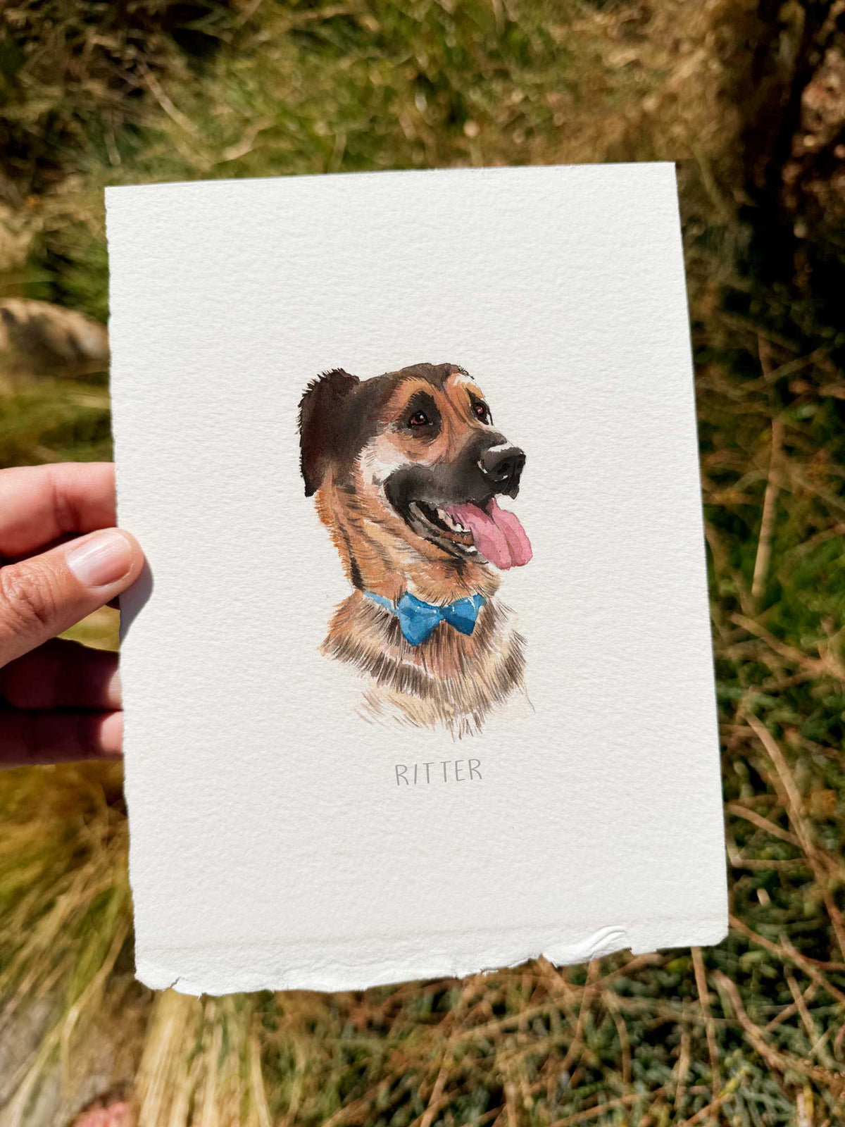 Mini Retrato mascota