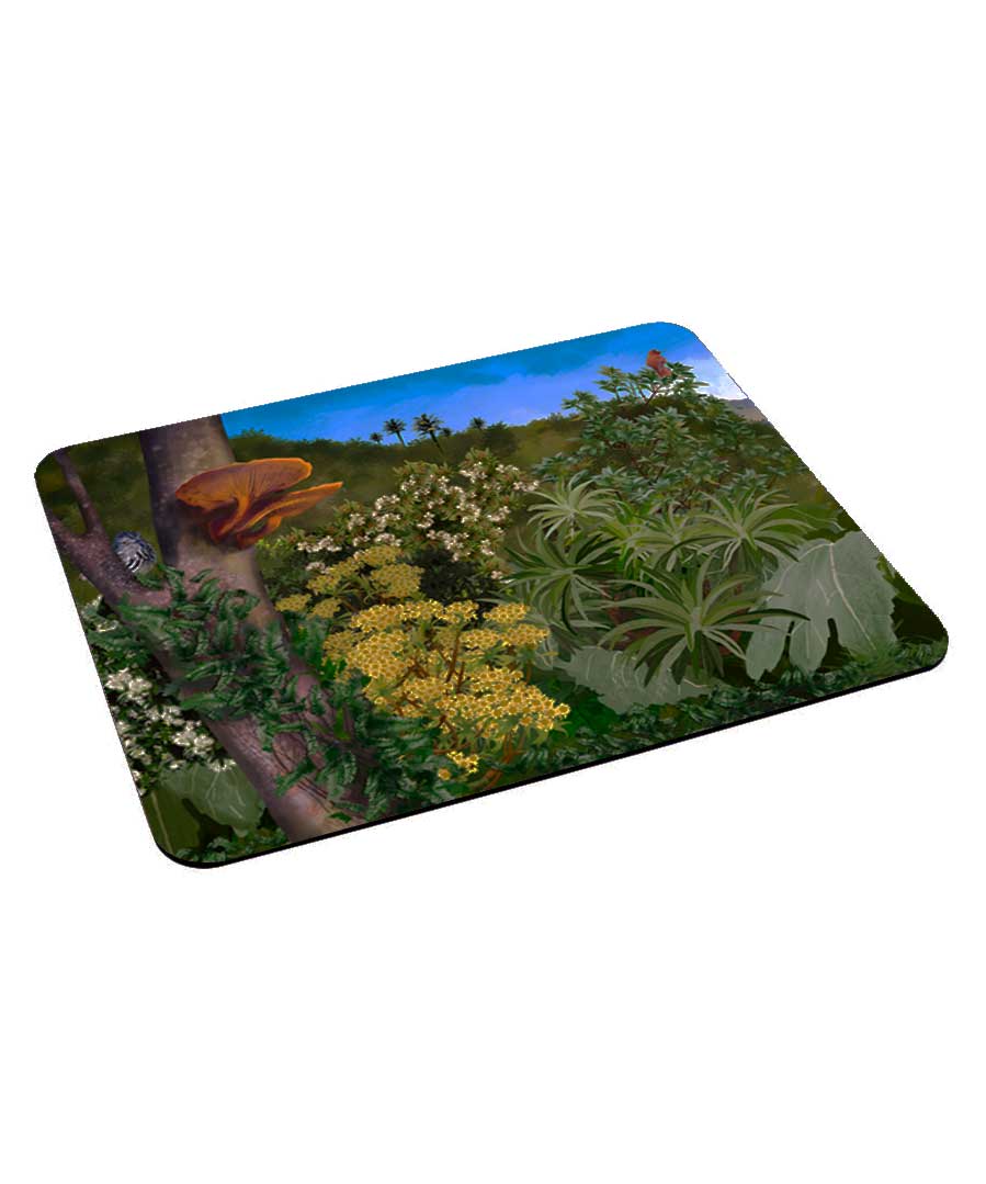 Mouse pad ecoterrestre