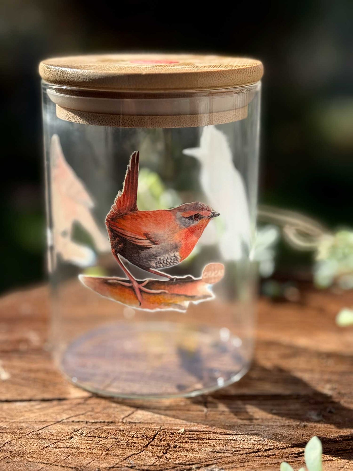 Set de stickers aves de Chile