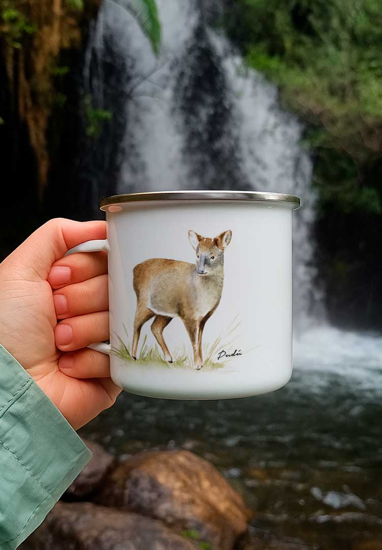 Tazón enlozado Pudú
