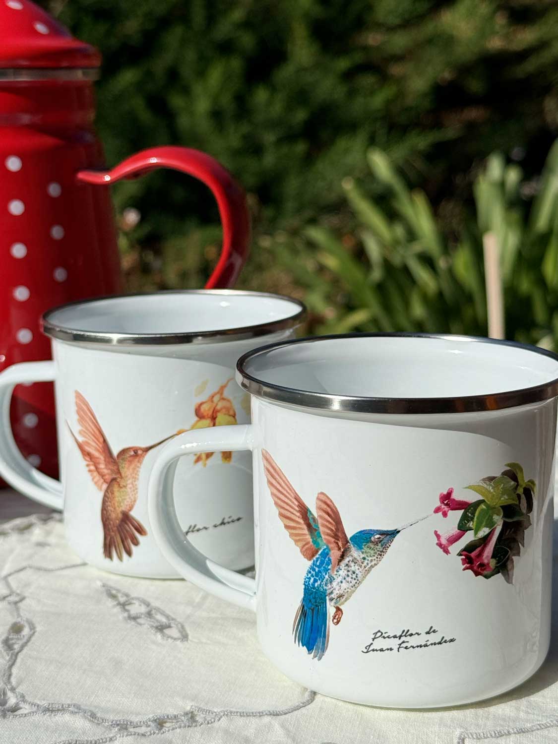 Set de Té Enlozado: Tetera puntos + 4 Tazones