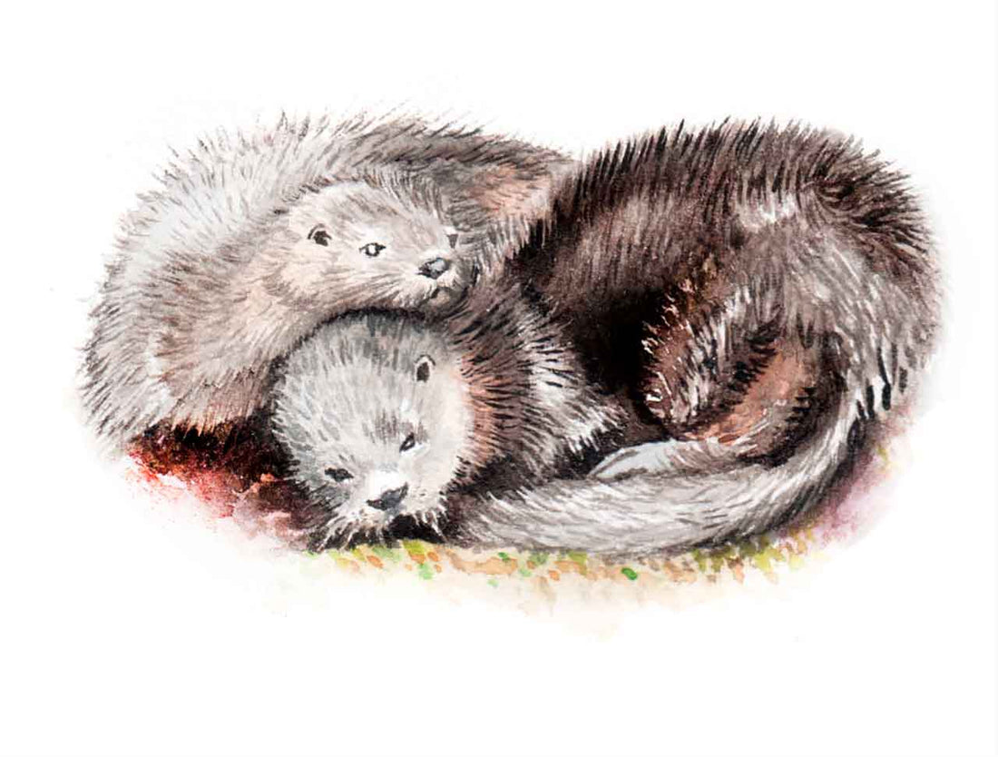 Día de la Fauna 2024