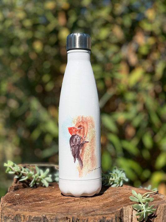 Botella térmica Carpintero Negro