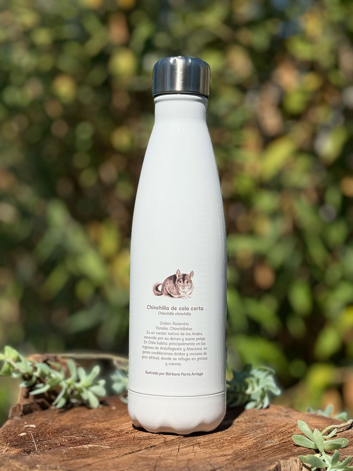 Botella térmica Chinchilla