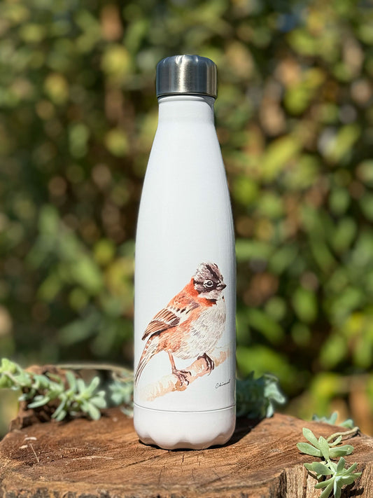 Botella térmica Chincol