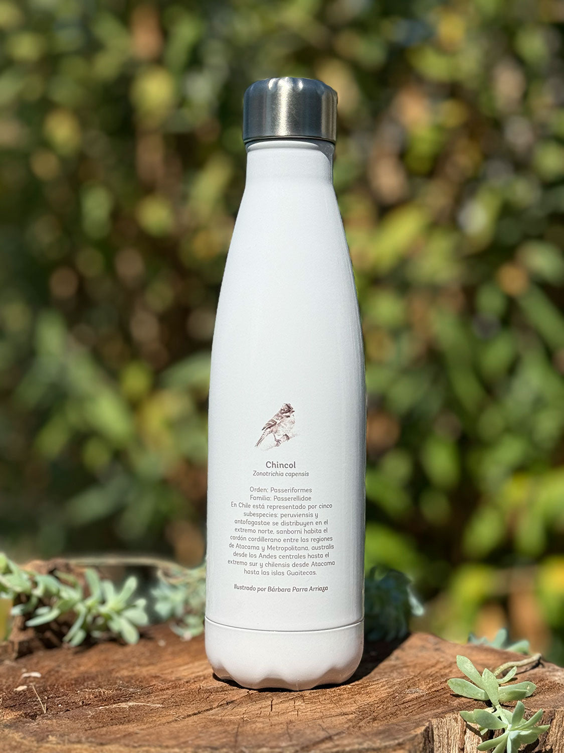 Botella térmica Chincol