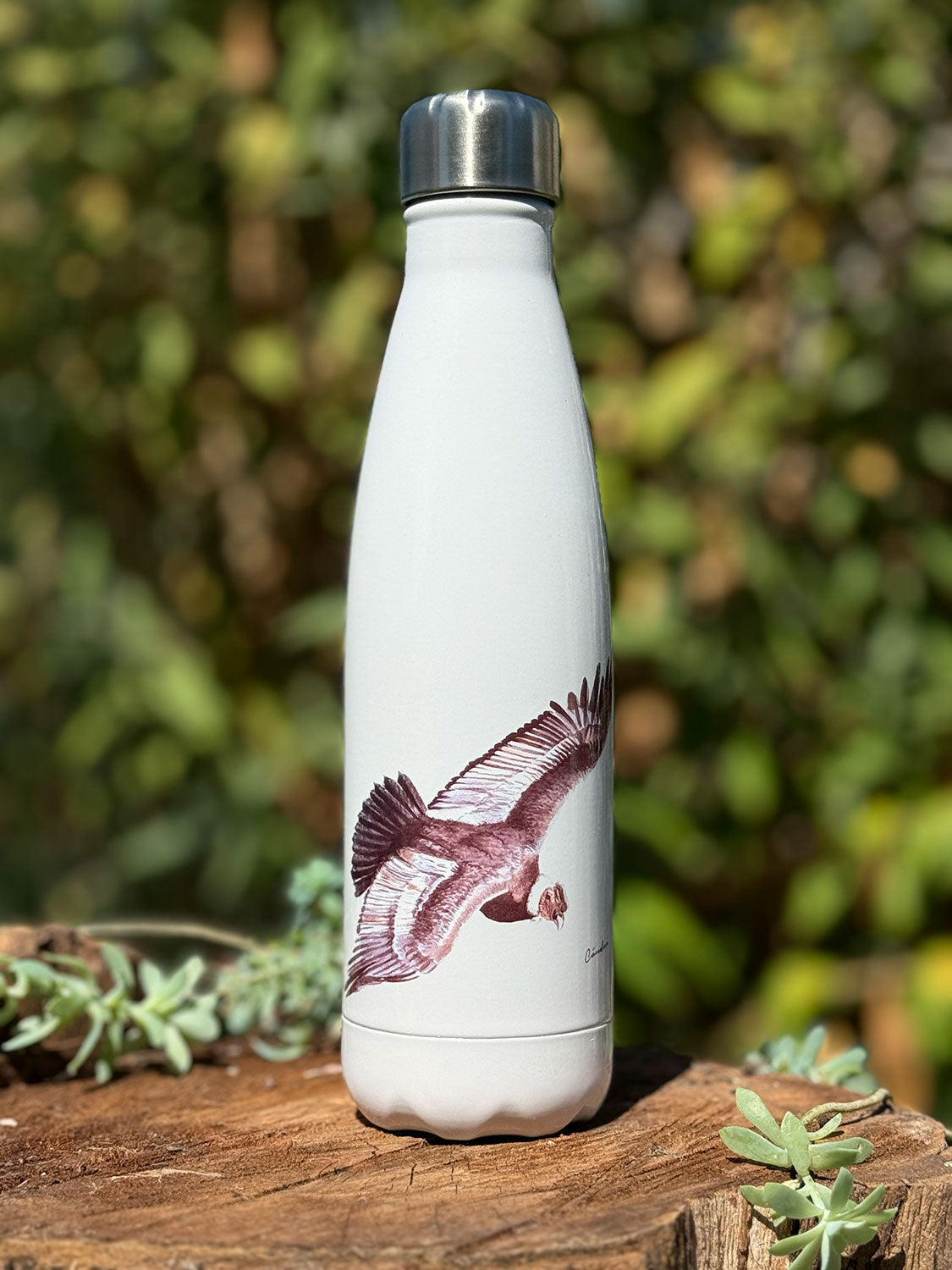 Botella térmica Cóndor
