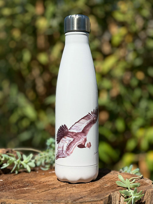 Botella térmica Cóndor