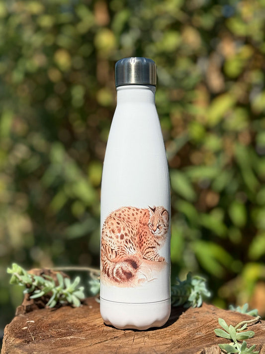 Botella térmica Gato Huiña