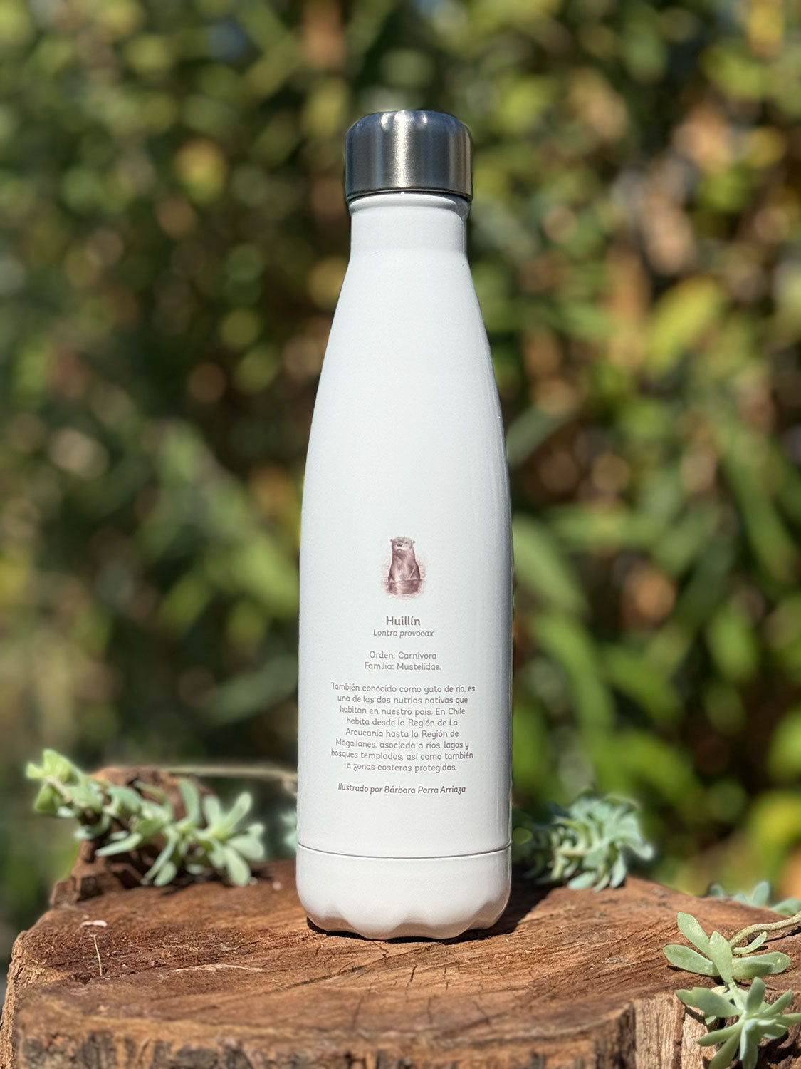 Botella térmica Huillín
