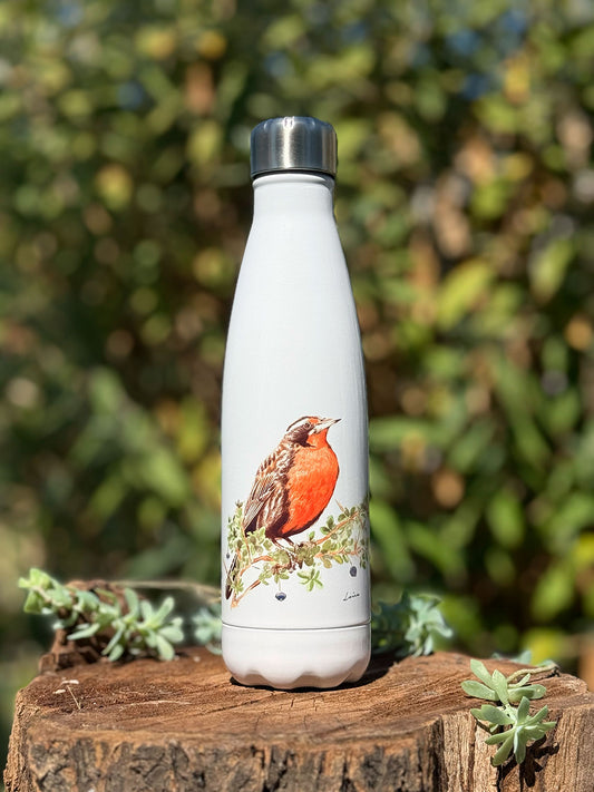 Botella térmica Loica