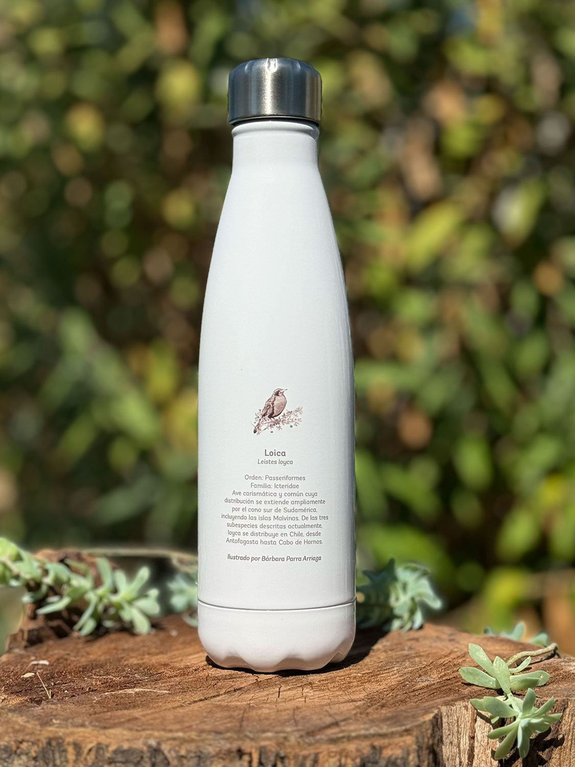 Botella térmica Loica