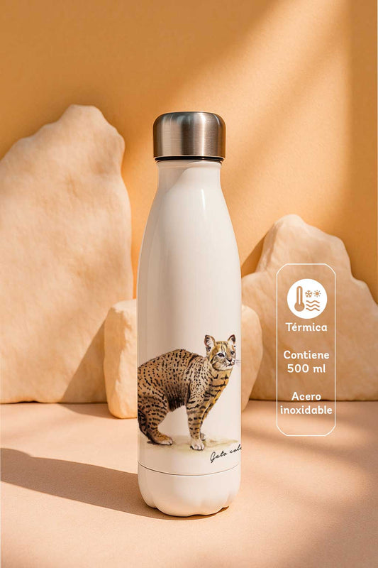 Botella térmica Gato colocolo