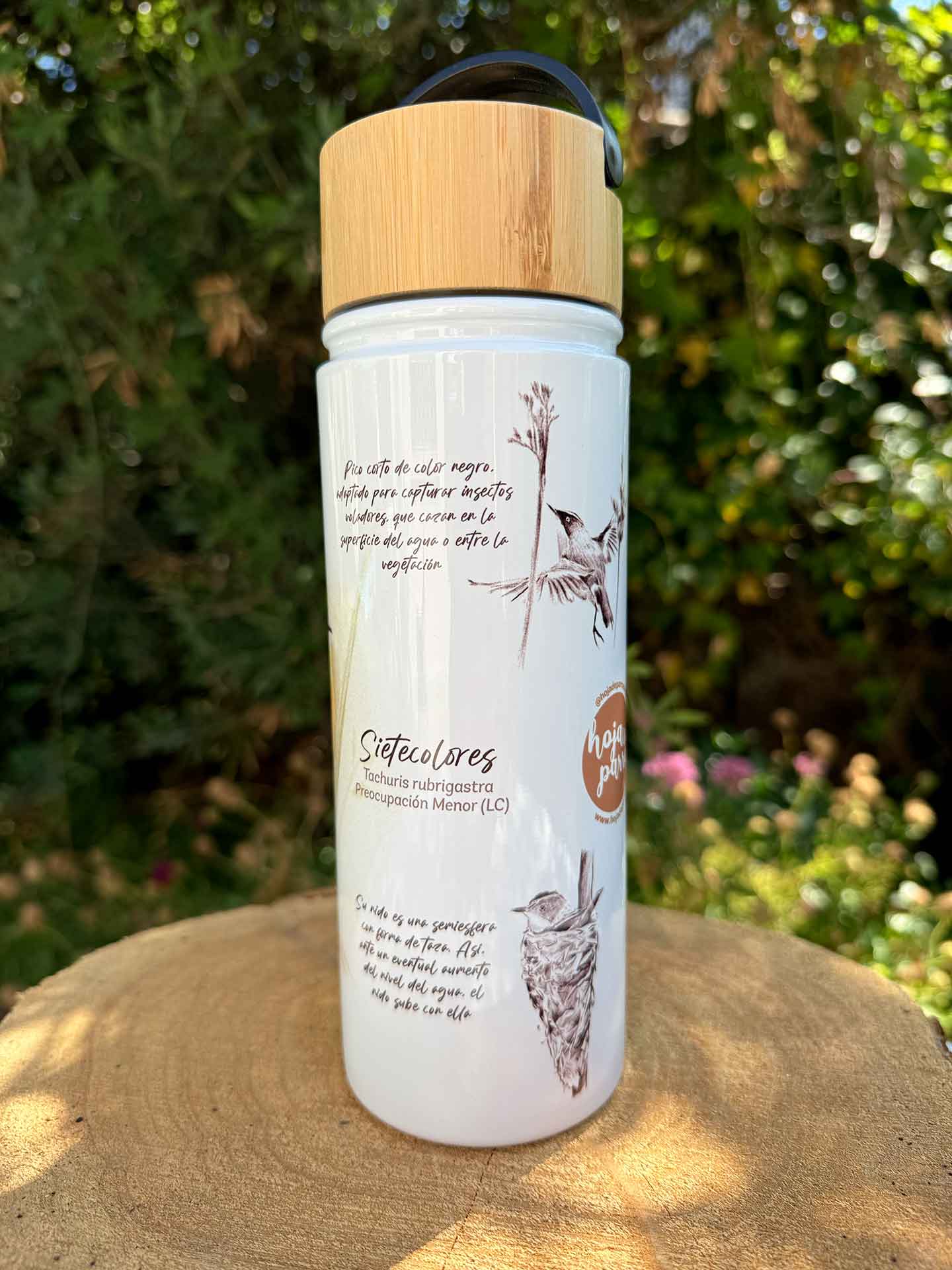 Botella trekking Sietecolores