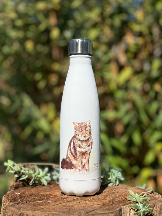 Botella térmica Zorro de Darwin