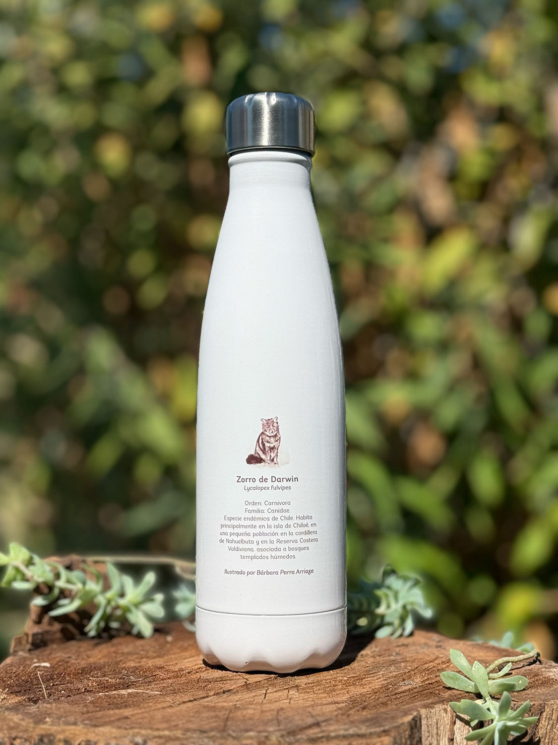 Botella térmica Zorro de Darwin