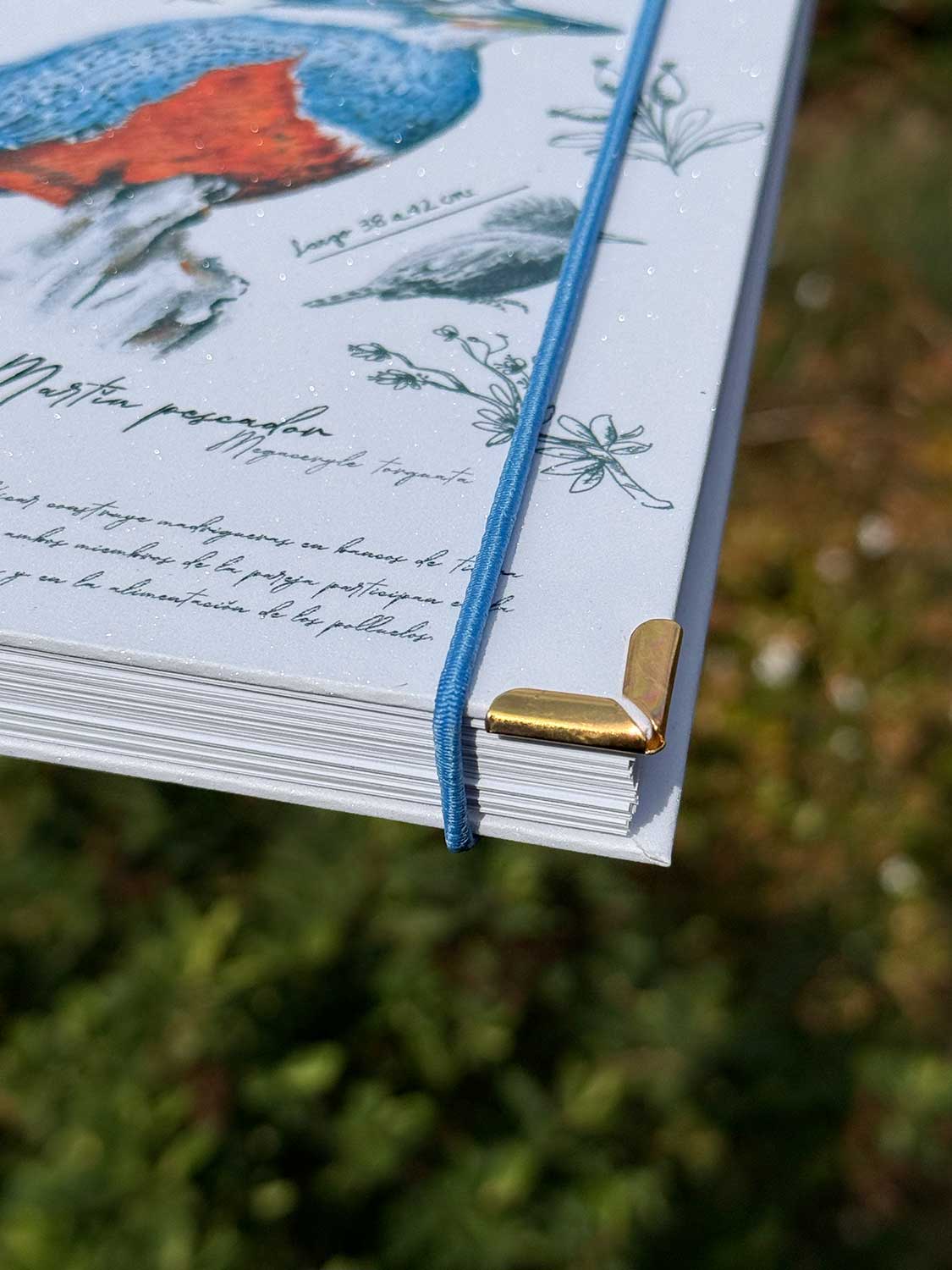 Cuaderno Martín Pescador