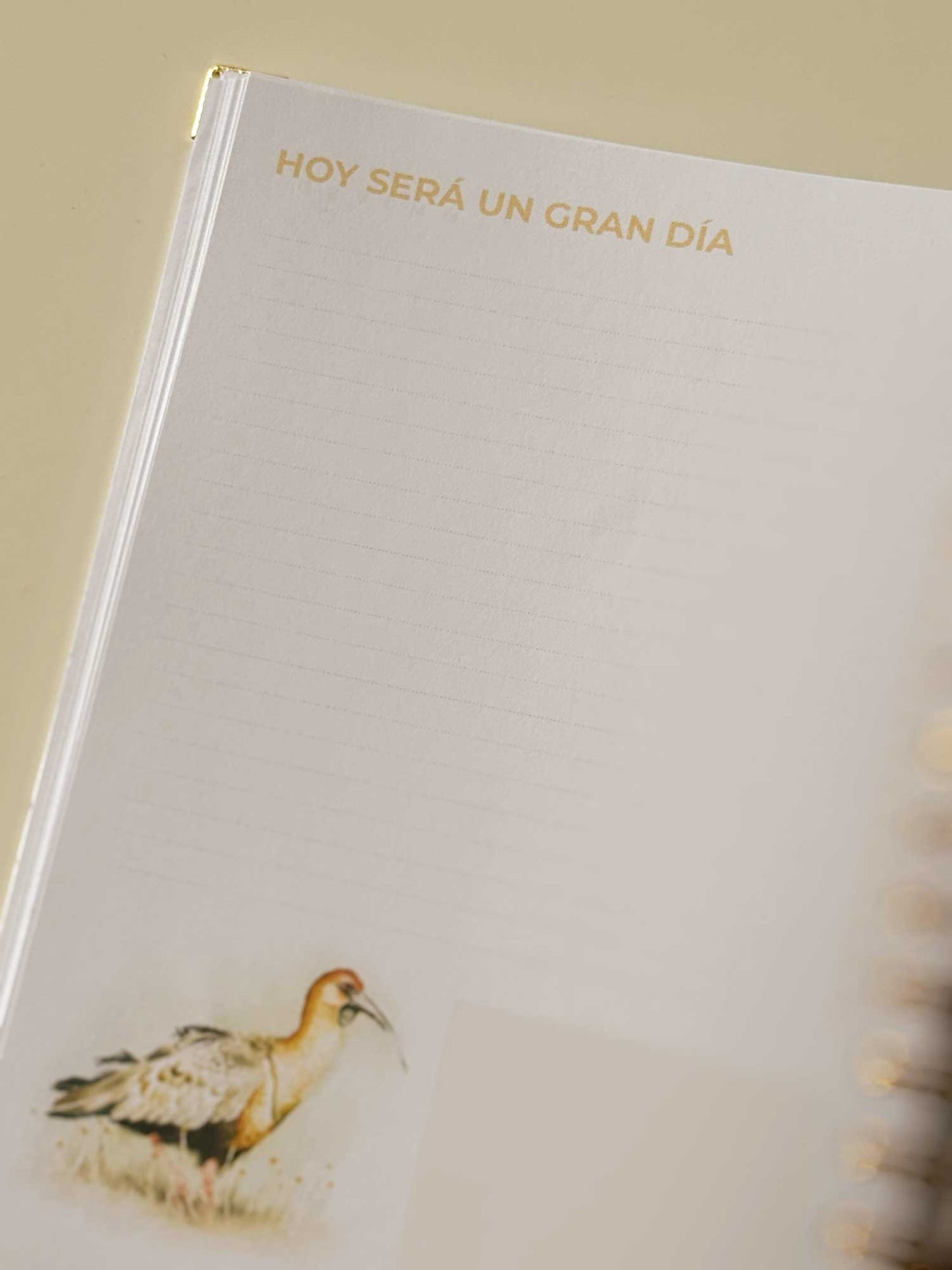 Cuaderno de avistamiento de aves