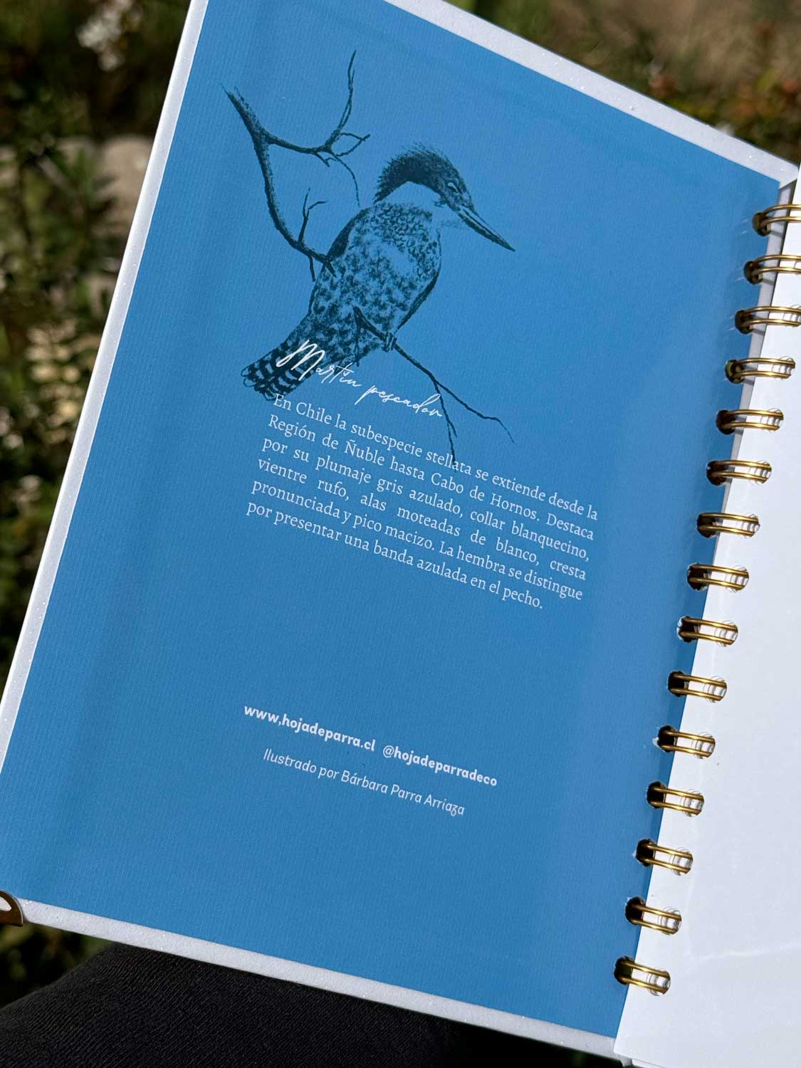 Cuaderno Martín Pescador