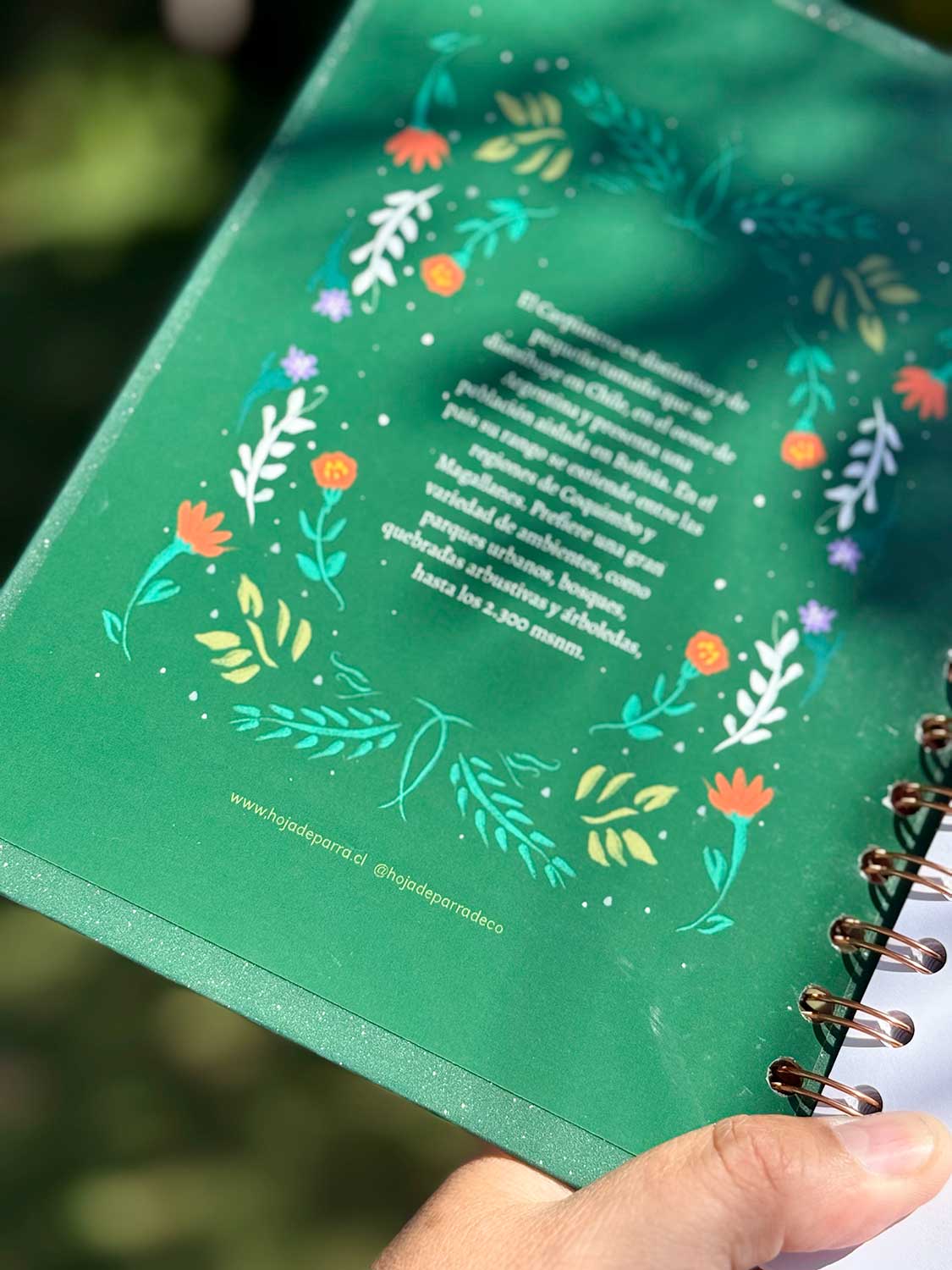 Cuaderno Carpinterito
