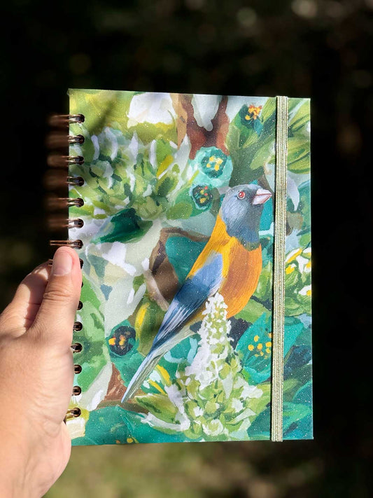 Cuaderno Cometocino & Chagual