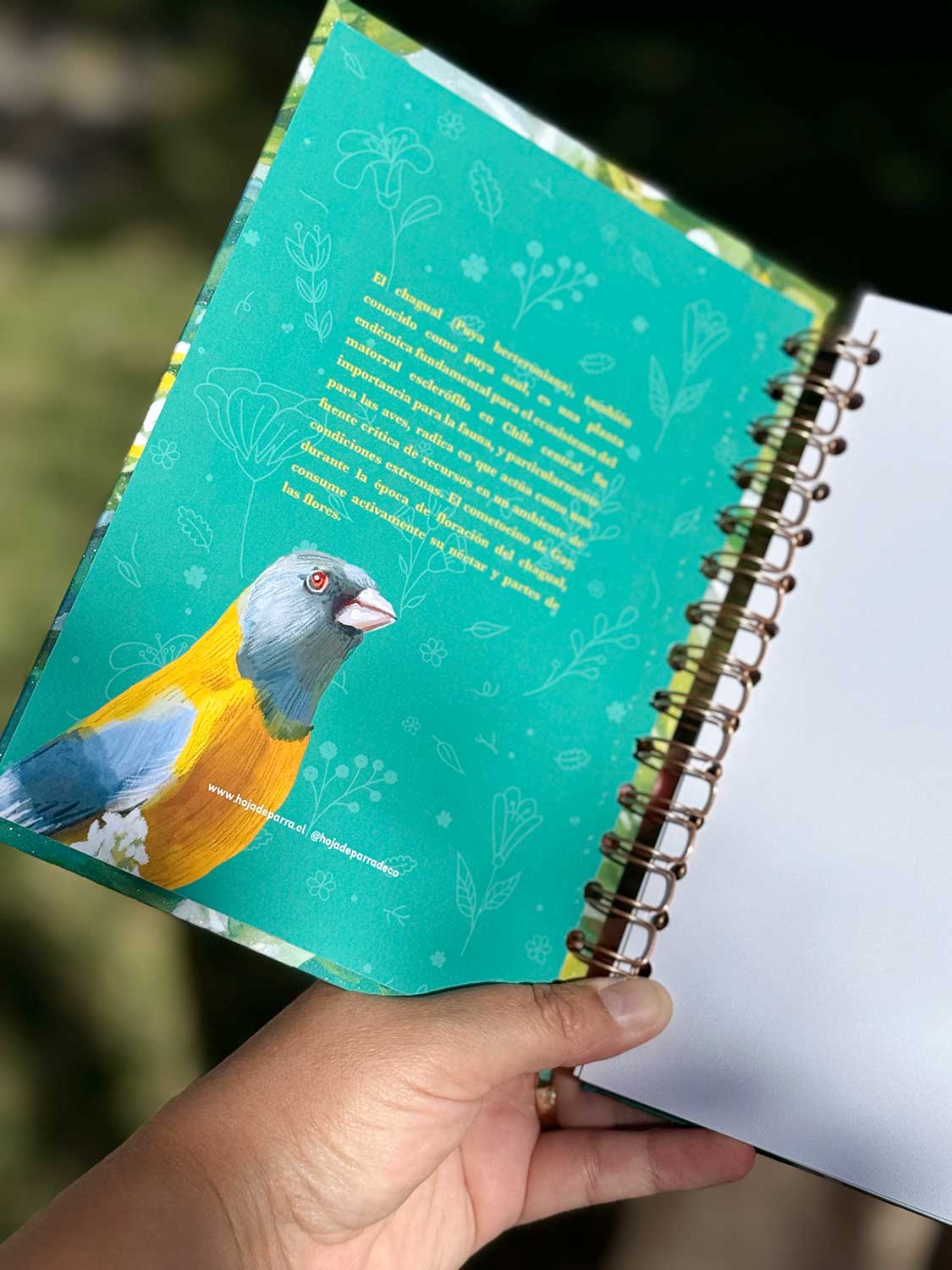 Cuaderno Cometocino & Chagual