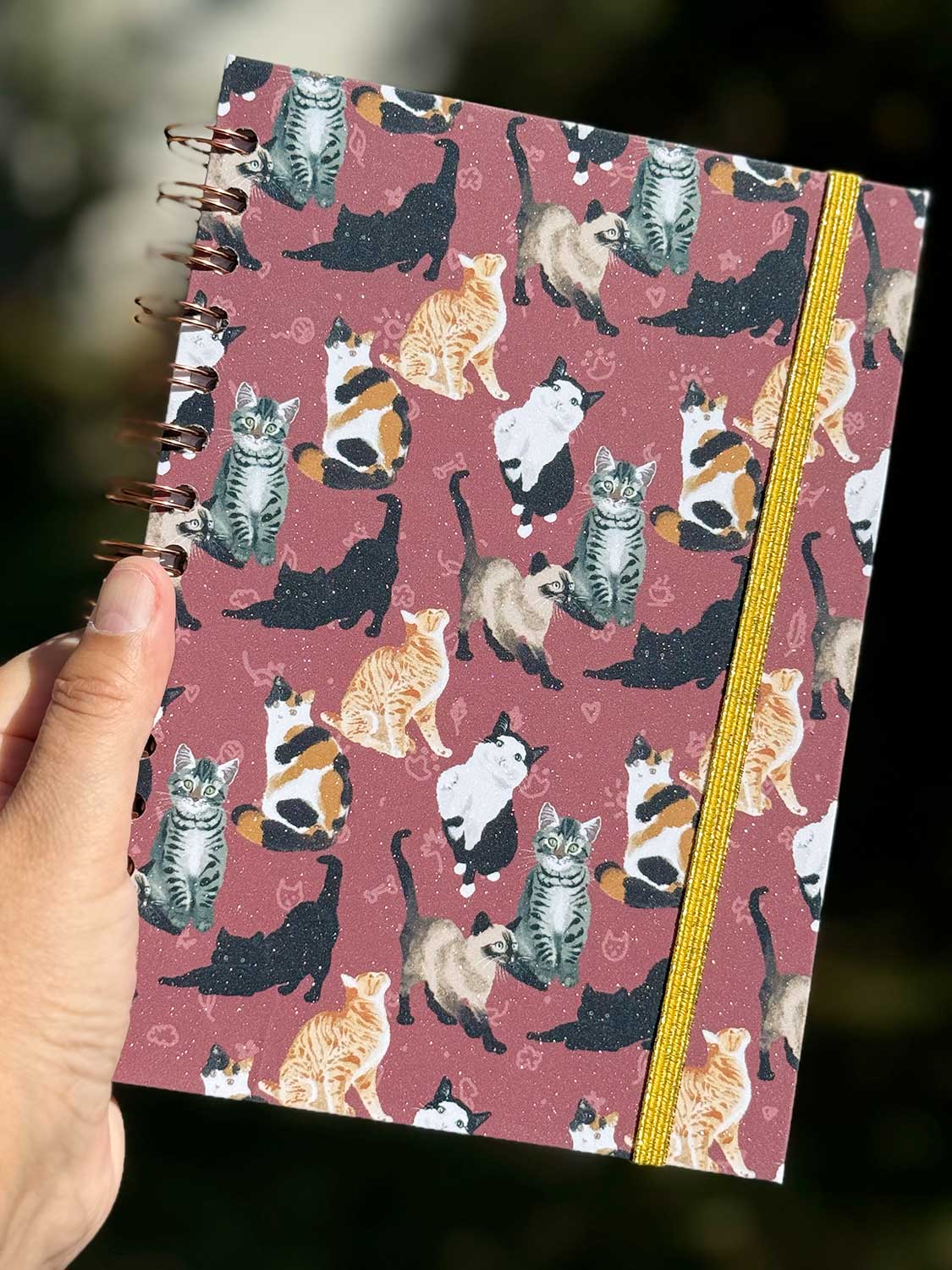 Cuaderno Gatitos