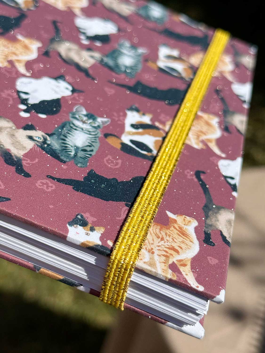 Cuaderno Gatitos