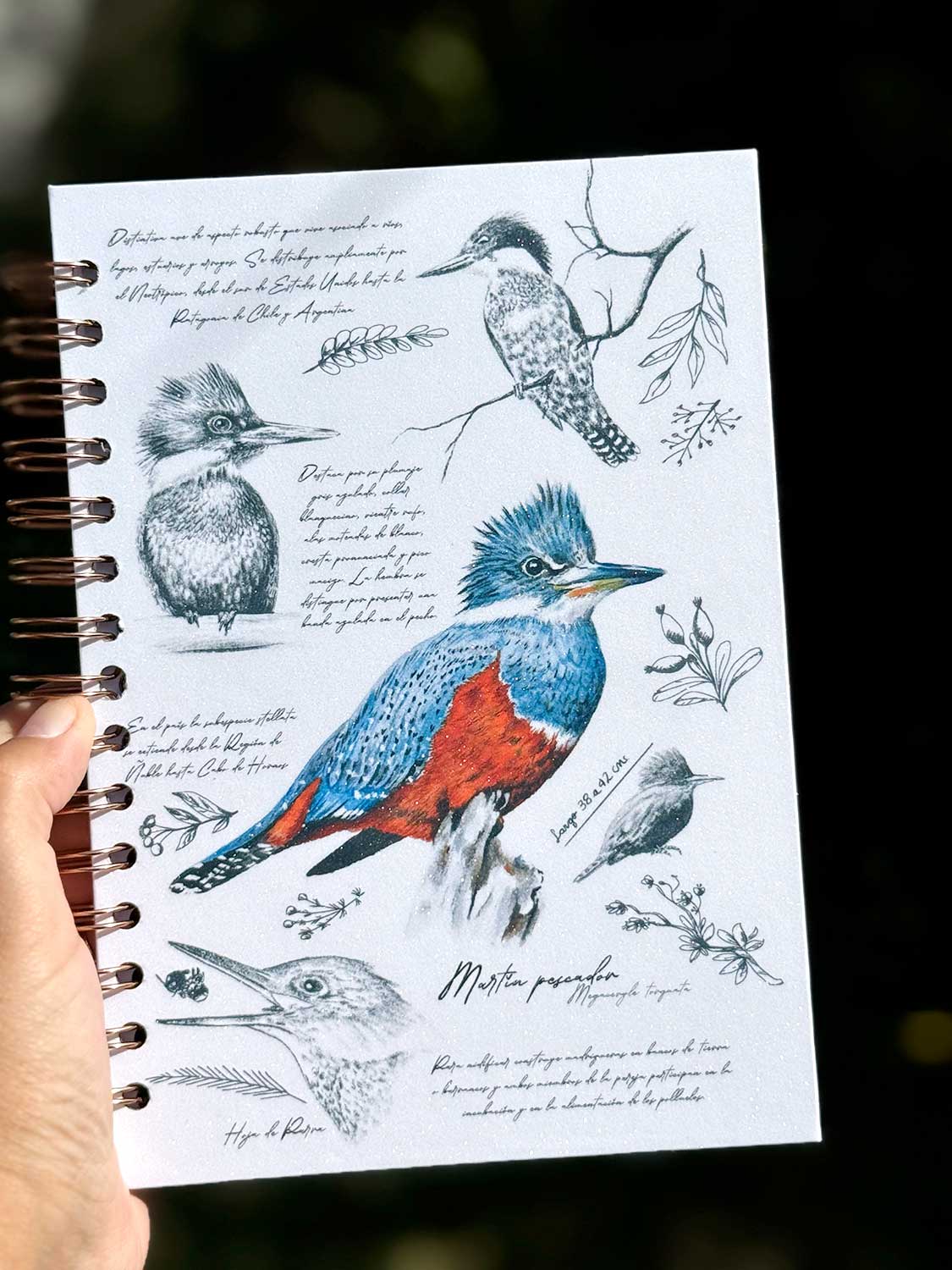 Cuaderno Martín Pescador