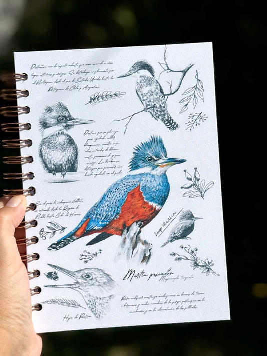 Cuaderno Martín Pescador
