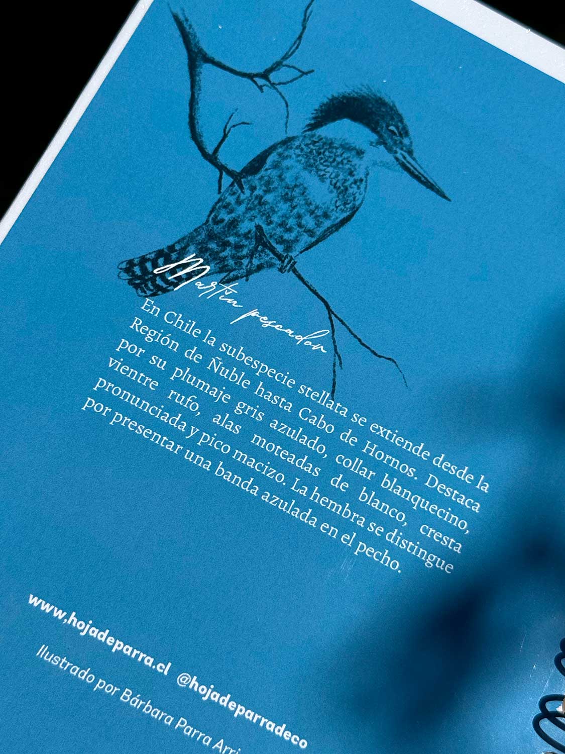 Cuaderno Martín Pescador