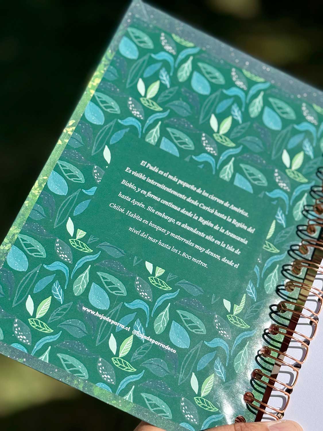 Cuaderno Ilustrado Pudú albino