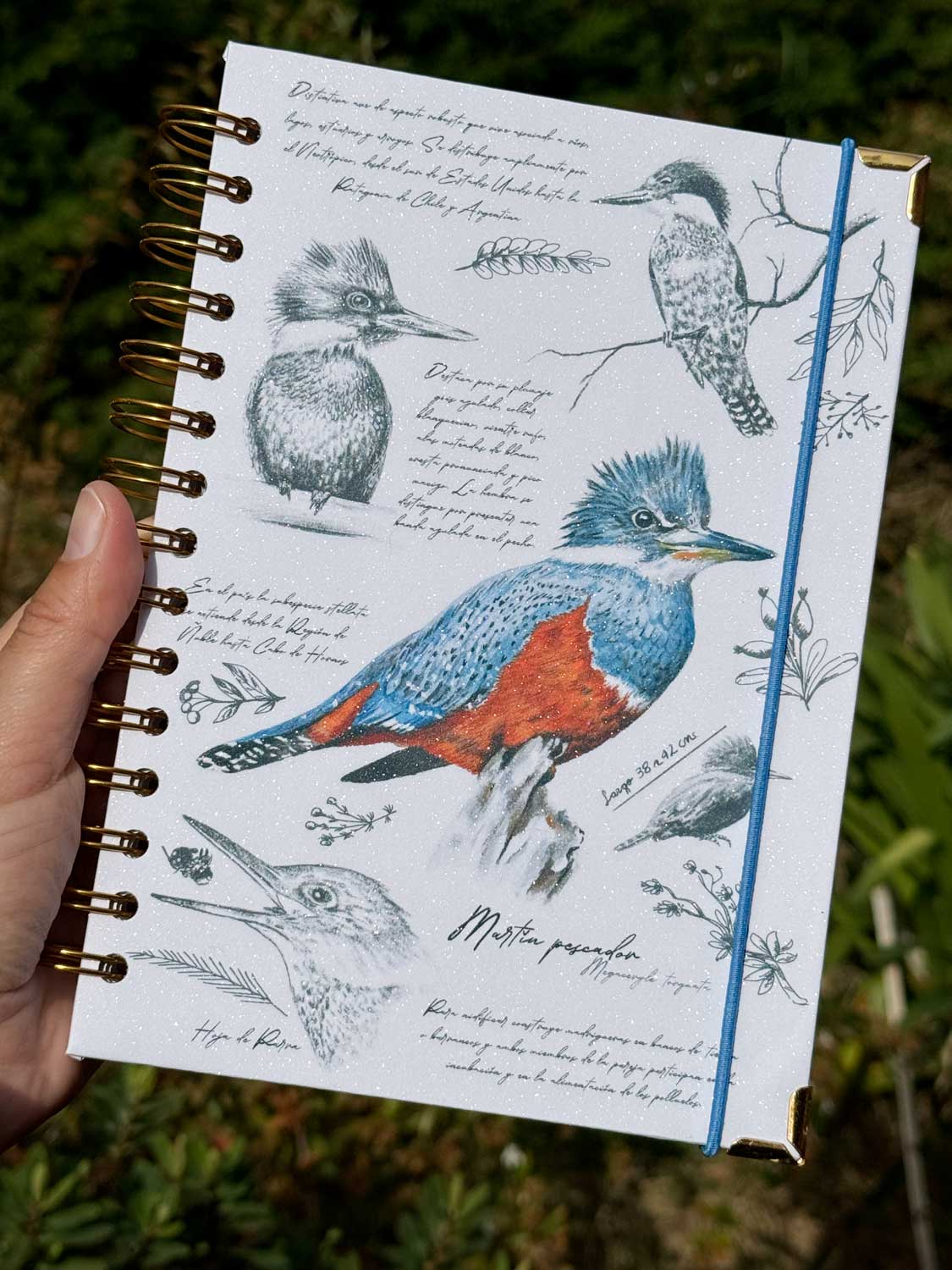 Cuaderno Martín Pescador