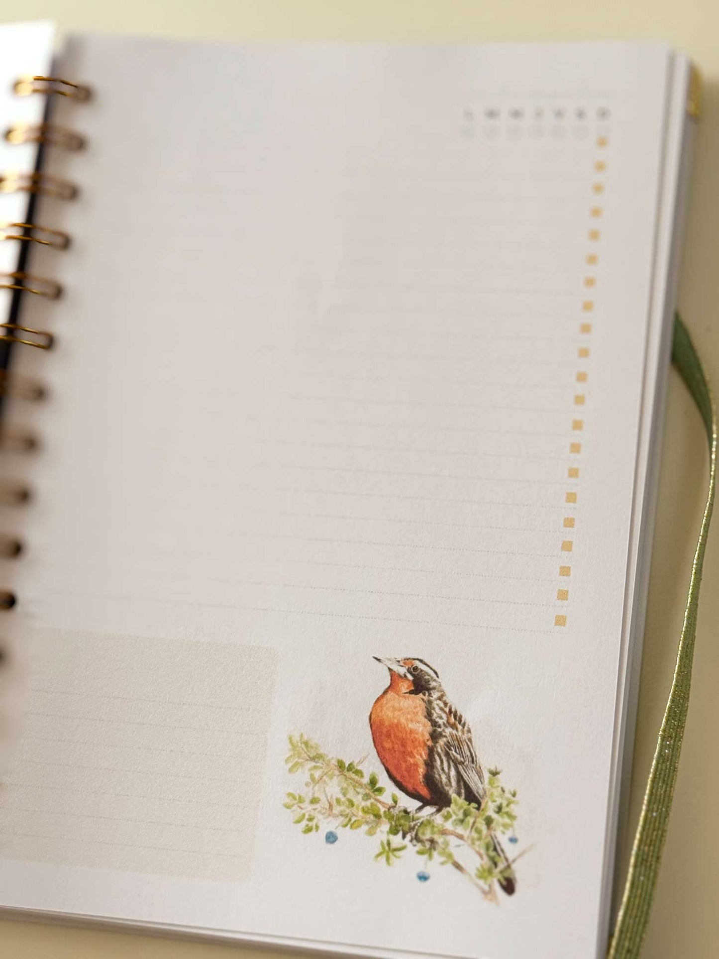 Cuaderno de avistamiento de aves
