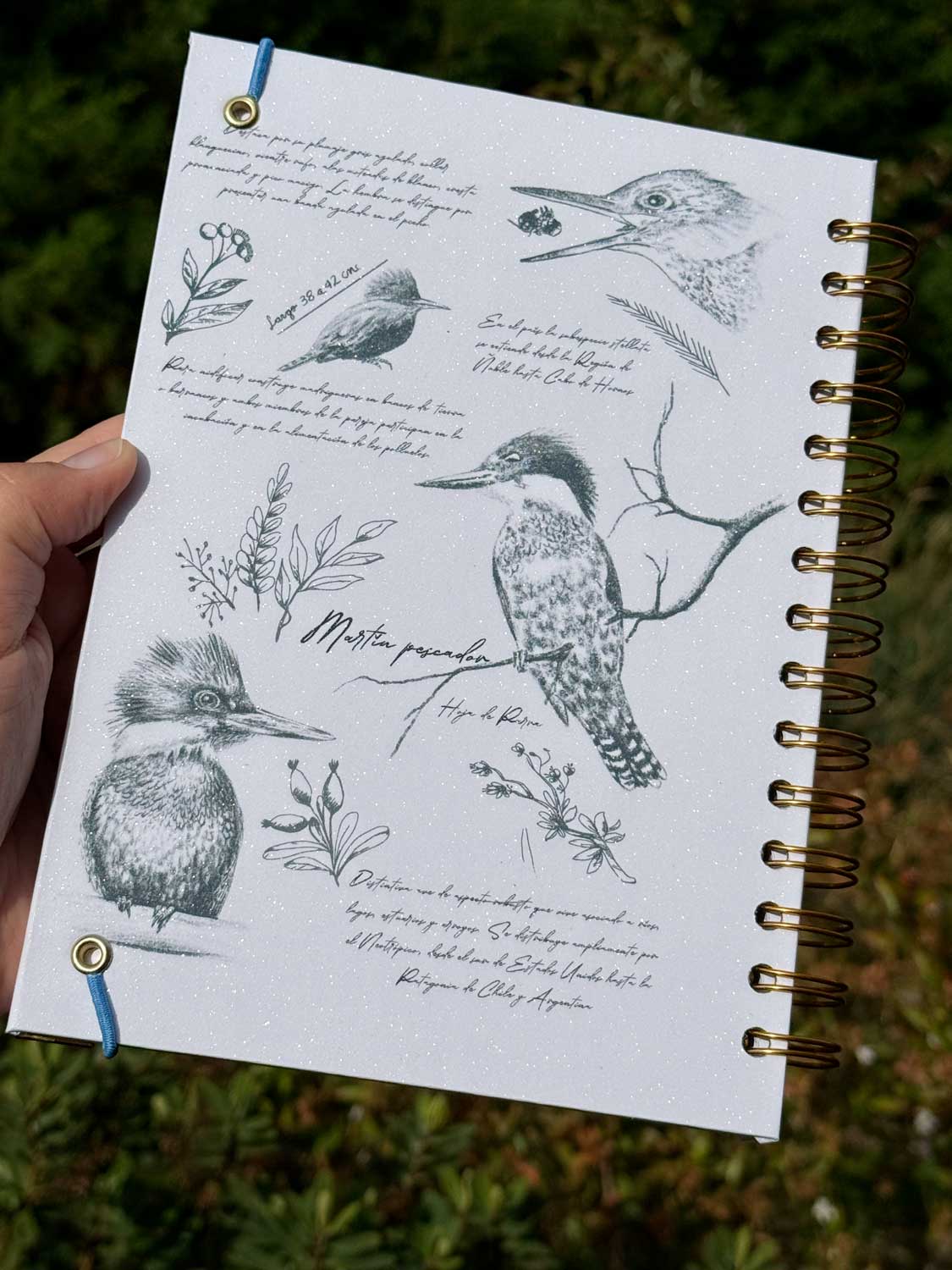 Cuaderno Martín Pescador