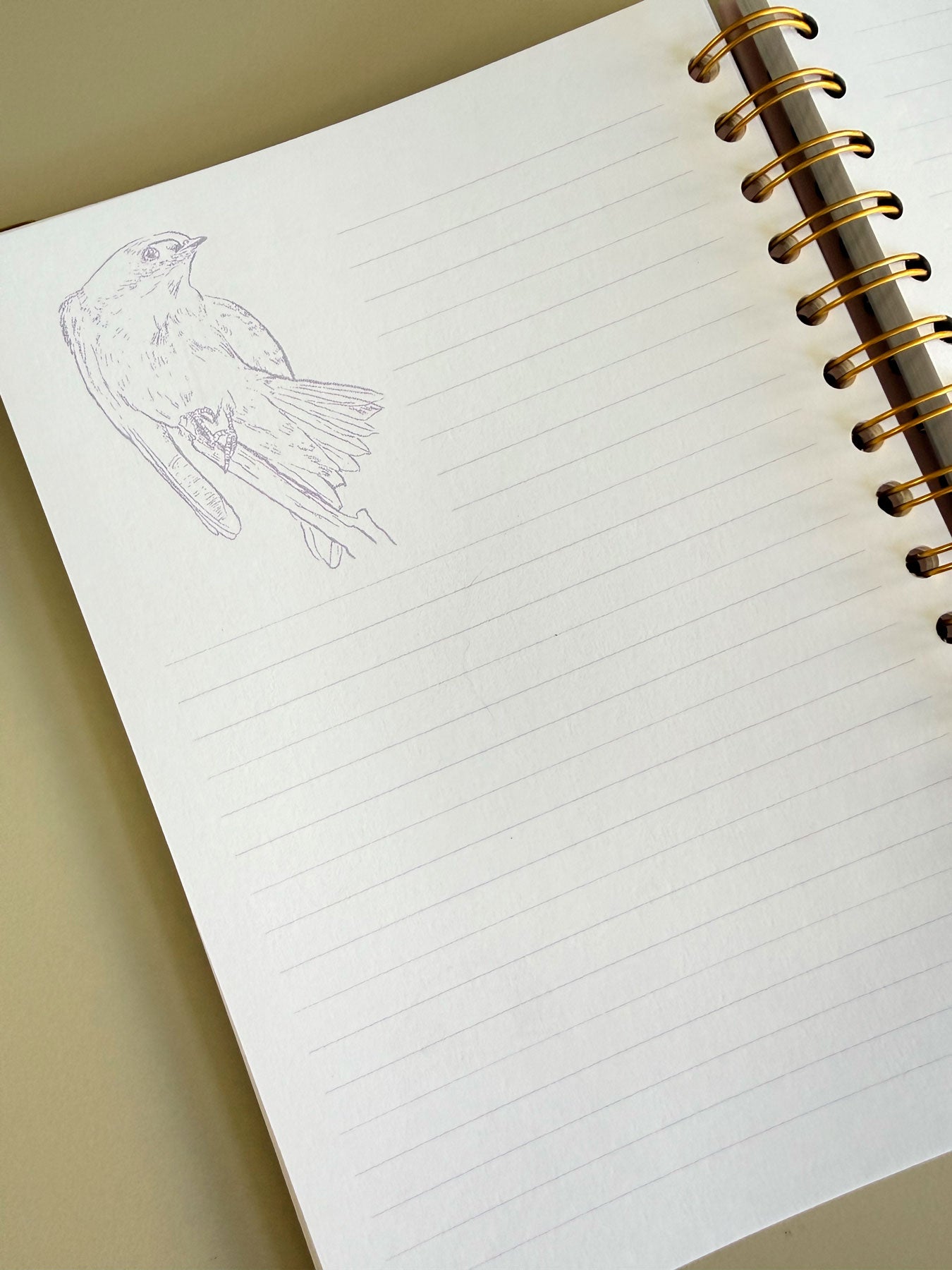 Cuaderno Golondrina chilena