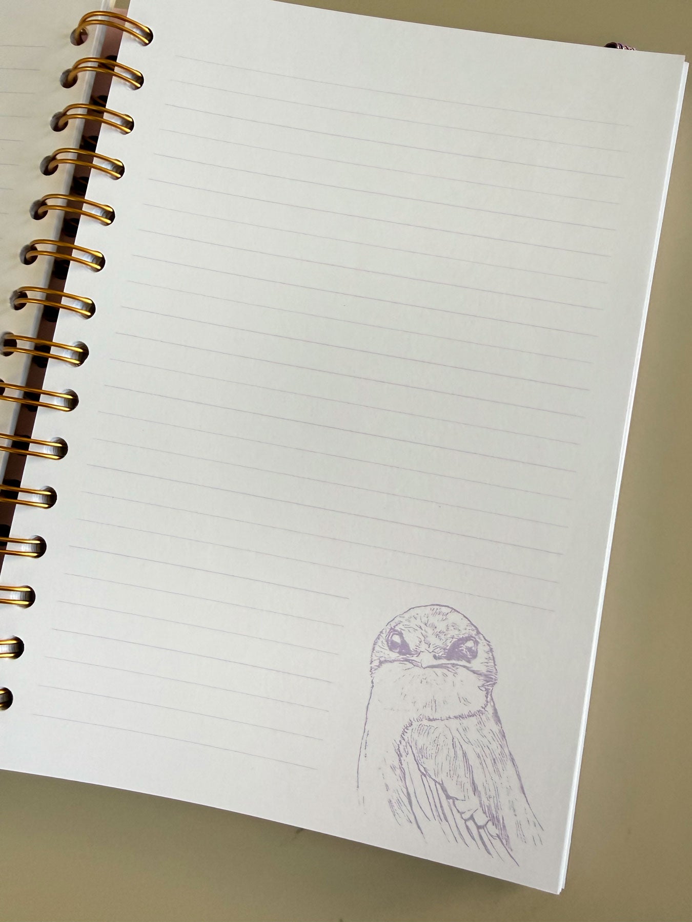 Cuaderno Golondrina chilena