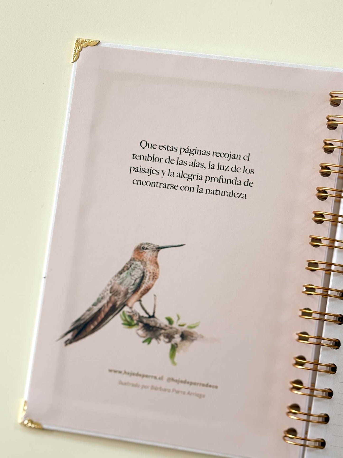 Cuaderno de avistamiento de aves