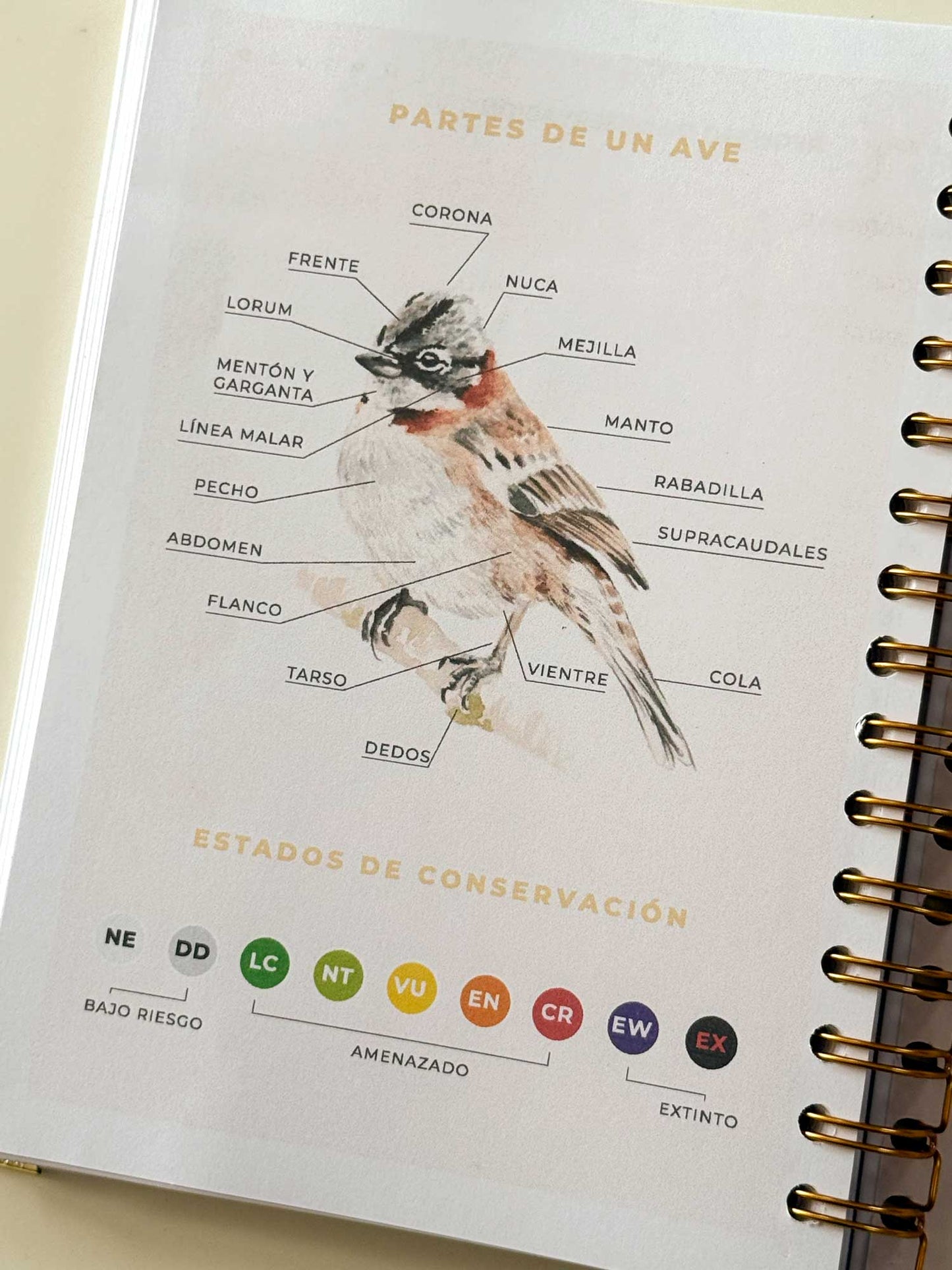 Cuaderno de avistamiento de aves