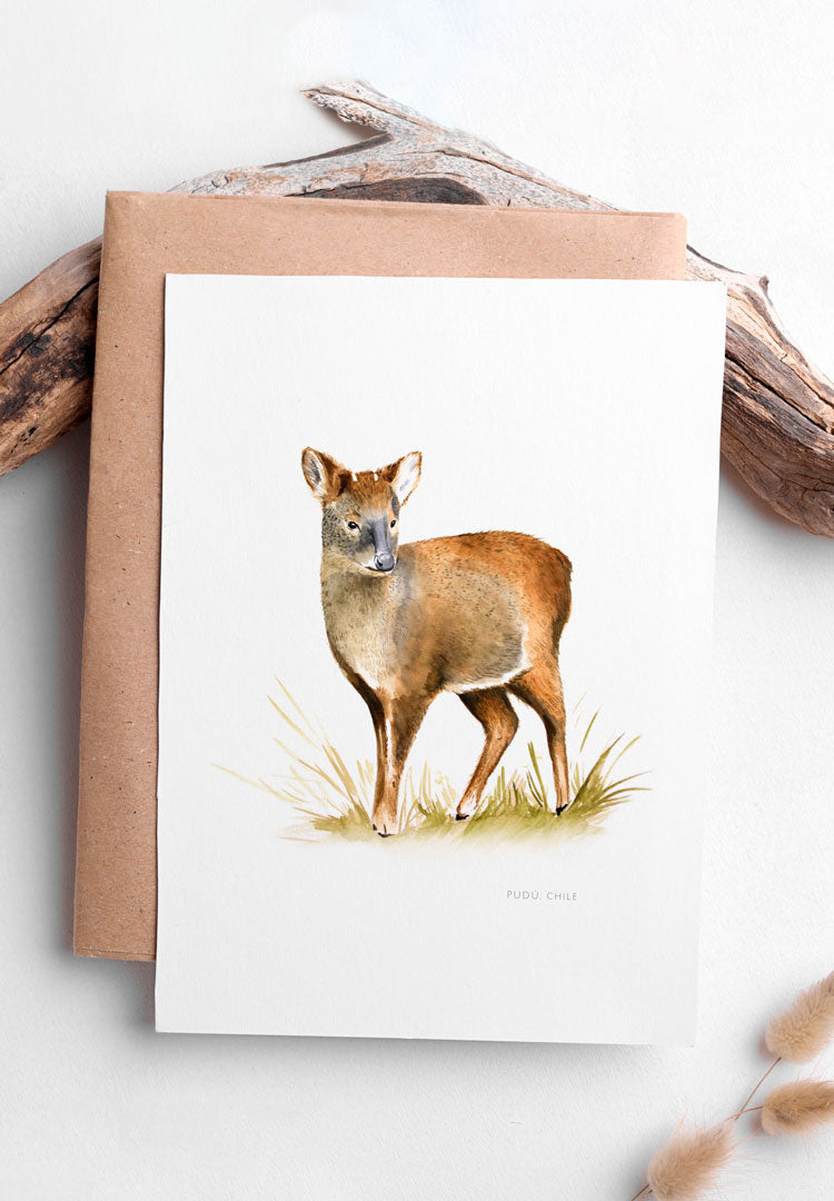 Lámina Pudú
