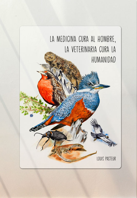 Letrero decorativo La Veterinaria cura la humanidad