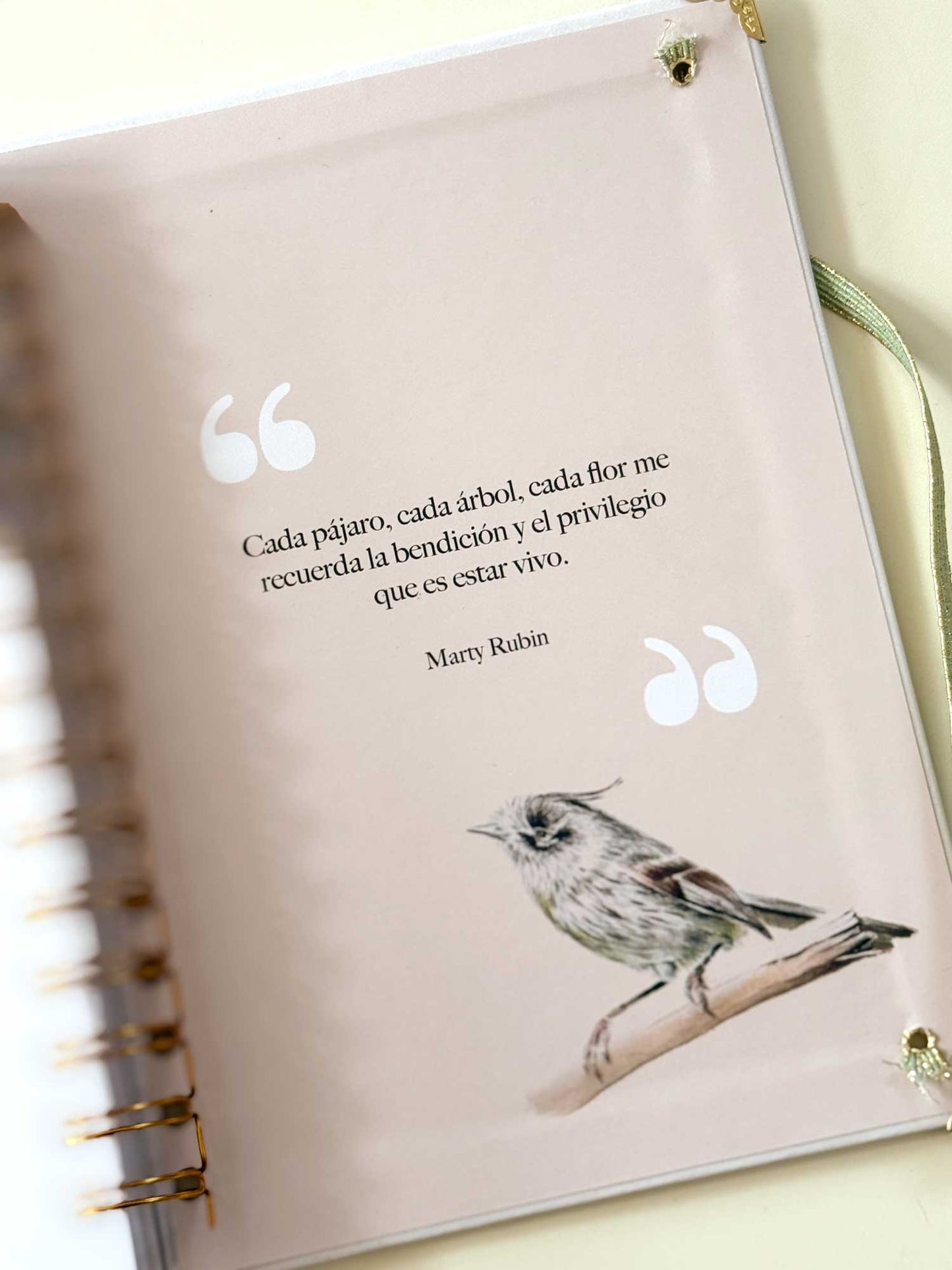 Cuaderno de avistamiento de aves
